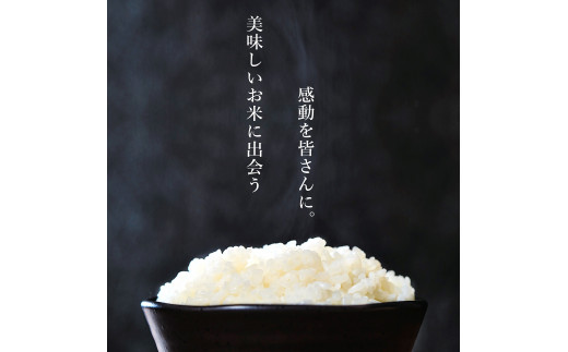 令和5年産 新米 こしひかり 15kg （ 白米 ） 宮崎県産 | 人気 銘柄米