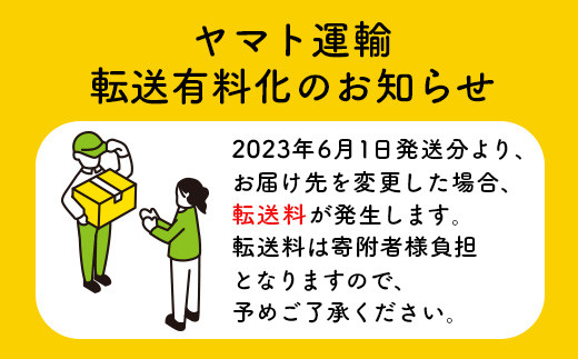 《2023年分受付中》北海道産　秋の赤肉メロン（2.8kg）【01004】