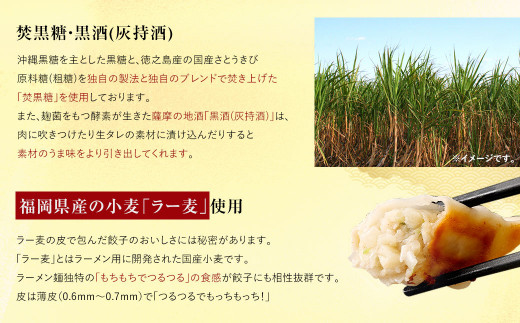 【国産冷凍生餃子】大きめ餃子 150個 計3kg ラー麦