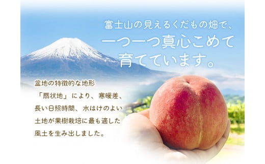 数多の桃を食べた桃の国・山梨県民スタッフが自信を持っておすすめします！ 富士の見えるくだもの畑から、朝もぎ直送いたします。