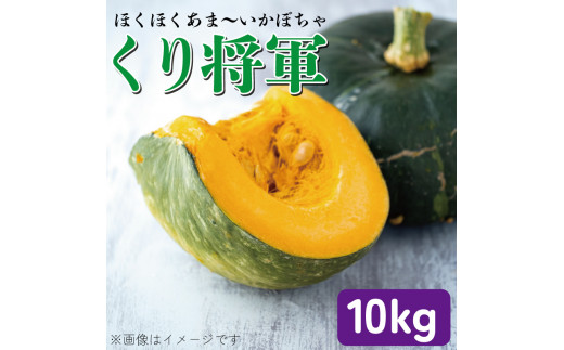 かぼちゃ 10kg くり将軍 6~9玉 野菜 カボチャ 南瓜 10キロ 1万円 10000円 旬 令和5年産 2023年産 阿波市 徳島県