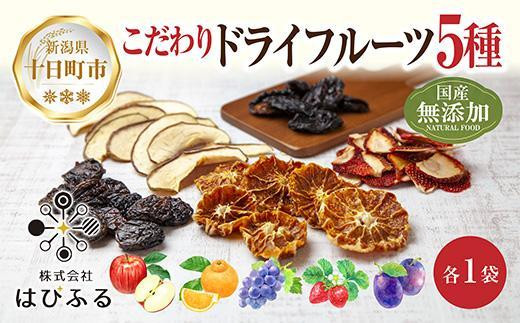 ドライフルーツ 5種(りんご プルーン デコポン いちご ぶどう)／リンゴ 苺 無添加 砂糖不使用 国産フルーツ 果物 保存食 ダイエット ギフト グルメ お取り寄せ はぴふる 新潟県 十日町市 910469 - 新潟県十日町市