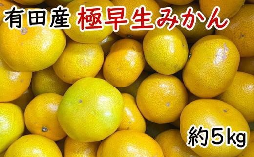 有田産極早生みかん約5kg（サイズ混合）★2025年10月中旬頃より順次発送［TM200］ 910030 - 和歌山県高野町