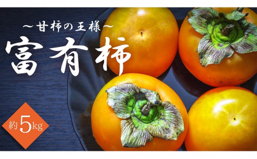 甘柿の王様！富有柿　約5kg 911783 - 香川県観音寺市