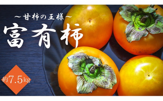 甘柿の王様！富有柿　約7.5kg 911784 - 香川県観音寺市