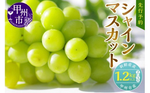  新鮮産直 甲州市！ シャインマスカット 1.2kg 2～3房 （KSF）【2023年先行予約】B12-170