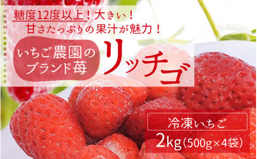 冷凍苺2kg