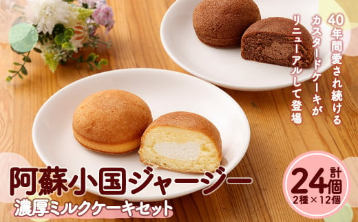 阿蘇小国ジャージー濃厚ミルクケーキ2種24個セット(クリーム12個チョコ12個)