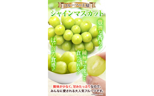 2023年分先行受付】 シャインマスカット１房 700g以上 たたら みねらる