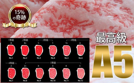 プレミアム焼肉セット約2kg 土佐和牛 牛肉 豚肉 肉詰め合わせ|有限会社　福乃屋