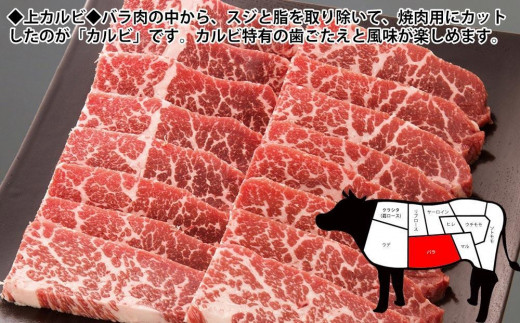 プレミアム焼肉セット約2kg 土佐和牛 牛肉 豚肉 肉詰め合わせ|有限会社　福乃屋