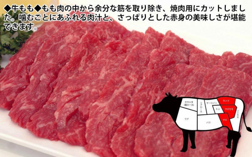 プレミアム焼肉セット約2kg 土佐和牛 牛肉 豚肉 肉詰め合わせ|有限会社　福乃屋