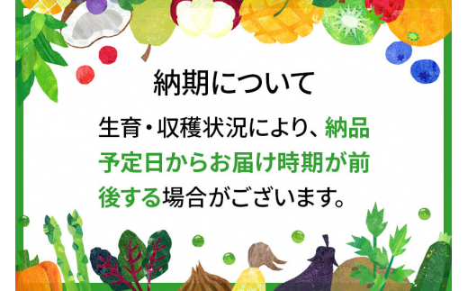 山形県白鷹町のふるさと納税 えだまめ（品種おまかせ）1kg(250g×4)  山形県 置賜産 【2024年8月上旬～9月上旬に順次発送予定】