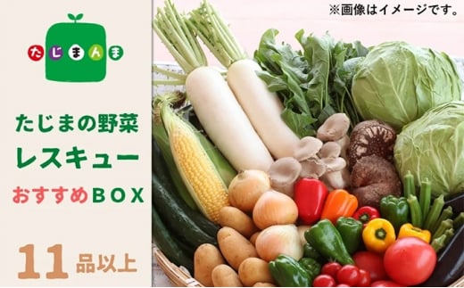 たじまの野菜レスキューおすすめBOX(11品以上)