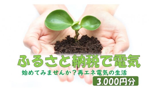 [九州限定プラン]地球にやさしい再エネ100%の電気[3,000円分]薩摩川内市 SDGs 再生可能エネルギー エコ 電気
