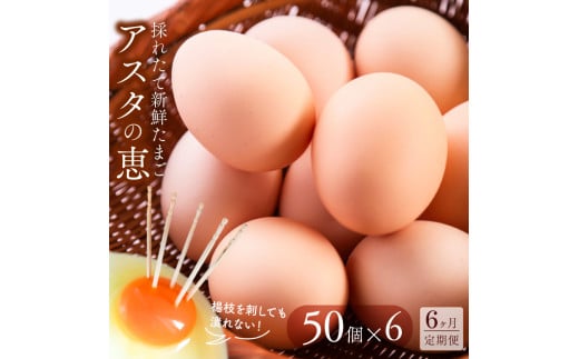 U-5 ◆6ヵ月定期便◆ 黄身がしっかり濃厚な卵【アスタの恵み】50個×6 252009 - 茨城県行方市