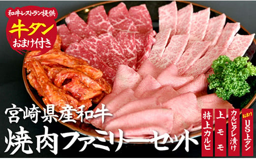 【おまけ付き】宮崎県産和牛焼肉ファミリーセット
