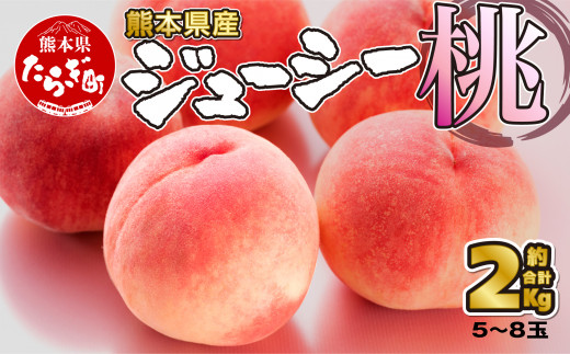  【先行予約】 桃 ＜5～8玉＞ 約2kg 『厳選した桃をお届けします！！』＜＜2024年6月下旬以降順次発送＞＞【 先行予約 受付 桃 もも 熊本県産 果物 フルーツ 】 087-0656