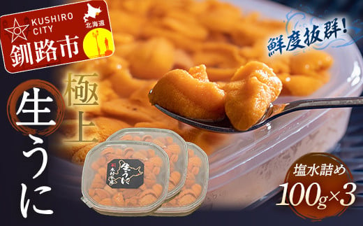 【鮮度抜群！極上生えぞバフンうに】生うに塩水詰め100g×2 