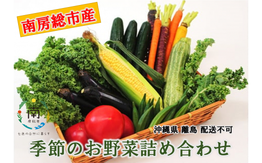 【南房総市産】季節のお野菜詰め合わせ mi0047-0001 205731 - 千葉県南房総市