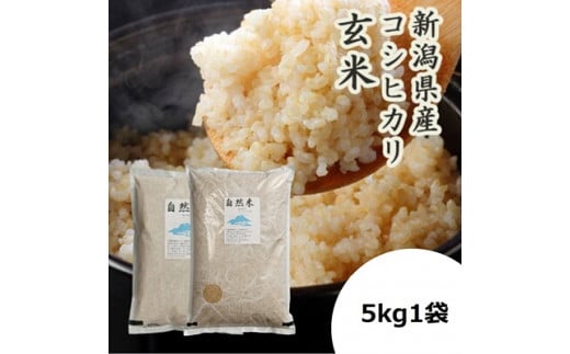 「米屋のこだわり阿賀野市産」GOZU自然米　玄米５kg　C-59