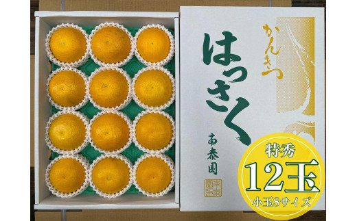 化粧箱 手詰め 有田 はっさく 特秀 小玉 S サイズ × 12玉入 南泰園 ...