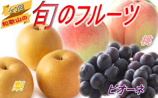 【全3回定期便】和歌山の旬のフルーツ定期便!人気の桃・ピオーネ・梨をお届け♪【tkb306】 883902 - 和歌山県串本町