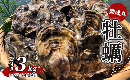 [№5315-0035]勤成丸の牡蠣 殻付き牡蠣 3.0kg【2023年12月以降出荷予定】 921851 - 兵庫県兵庫県庁