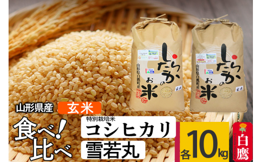 500円引きクーポン 特別栽培コシヒカリ・雪若丸 10kg 食べ比べセット