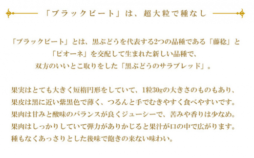 ぶどう 2024年 先行予約 ブラックビート 約700g×1房 ブドウ 葡萄 岡山