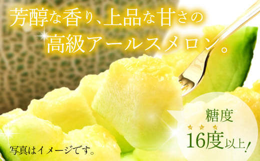 益田アールスメロンは、ネットの美しさと上品な甘さと芳醇な香りが特徴です。
