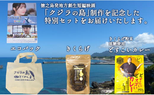 「クジラの島」 制作記念特別セット 徳之島産乾燥きくらげ(みんぐい) 80g(20g×4袋) ミニエコバック どすこいカレー H-5-N