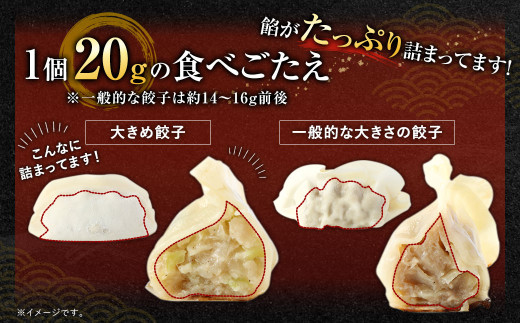 【国産冷凍生餃子】ラー麦を使用した大きめ 餃子 100個 合計2kg