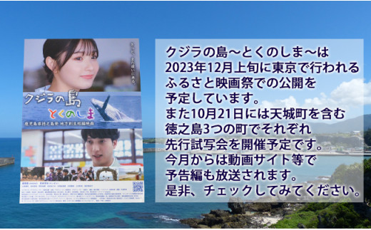 「クジラの島」 制作記念特別セット 徳之島産乾燥きくらげ(みんぐい) 80g(20g×4袋) ミニエコバック どすこいカレー H-5-N