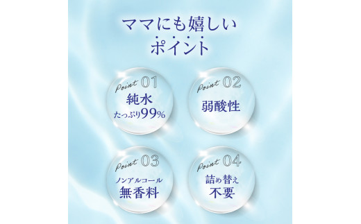 2回定期便】水分たっぷり純水99％ おしりふき80枚入×3Ｐ×12セット（計