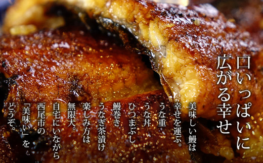 国産 三河産 うなぎ 蒲焼き 2尾（320～340g）≪冷凍≫A136-15 うなぎ 国産 2尾 本格 鰻 蒲焼 愛知県 西尾市 愛知養魚 大サイズ  海鮮 食品【入金確認後7～10日程度でお届け】