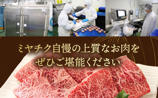 宮崎県産 豚ロース・豚バラ・豚肩ロース しゃぶ 各300g×1 豚こま切れ