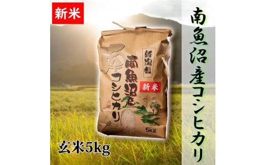 【予約】【令和6年産 新米】【高級】南魚沼産こしひかり5kg（玄米）新潟県 特A地区の美味しいお米。