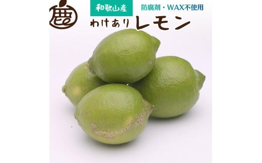 家庭用 レモン1kg+250g(傷み補償分)[和歌山有田産][防腐剤・WAX不使用、安心の国産レモン][わけあり・訳ありレモン]