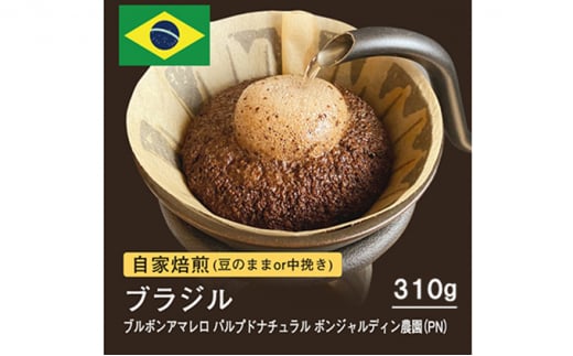 自家焙煎コーヒー！310g ブラジル サントアントニオ プレミアム