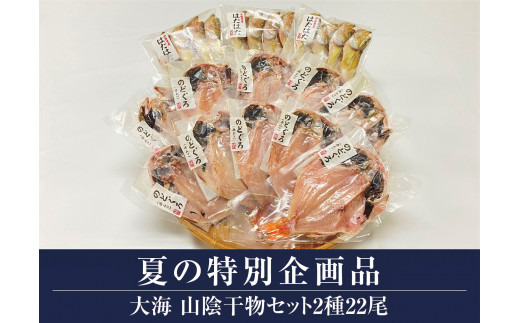 山陰干物セット2種22尾（大山ブランド会）詰合せ 高島屋 30-N8 0449