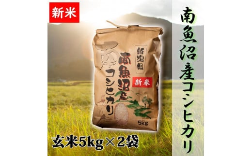 【予約】【令和6年産 新米】【高級】南魚沼産こしひかり5kg×2袋（玄米）新潟県 特A地区の美味しいお米。