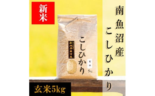 【予約】【令和6年産 新米】南魚沼産コシヒカリ（玄米）【５ｋｇ】新潟県 特A地区の美味しいお米。