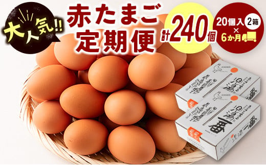 ＜児湯養鶏自慢の卵＞ネッカリッチ赤たまご「児湯一番」 計240個 （20個入×2箱）×6か月定期便【D15】