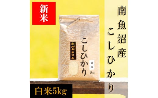 【予約】【令和6年産 新米】南魚沼産コシヒカリ（白米）【５ｋｇ】新潟県 特A地区の美味しいお米。