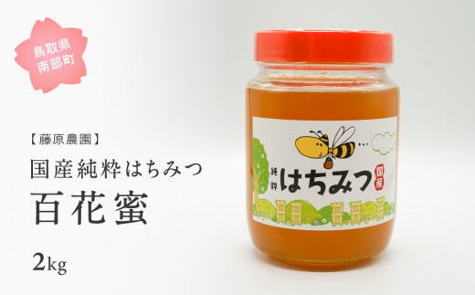 【FJ07】	里地・里山のめぐみ 純粋ハチミツ（百花蜜） 1kg×2本