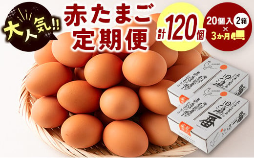 ＜児湯養鶏自慢の卵＞ネッカリッチ赤たまご「児湯一番」 計120個 （20個入×2箱）×3か月定期便【C55】