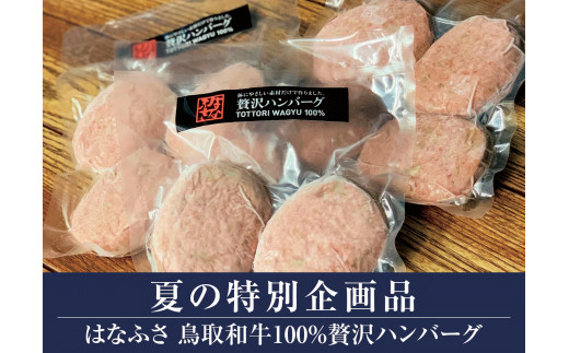 鳥取和牛100％ 贅沢ハンバーグ（大山ブランド会） 高島屋 タカシマヤ 30-C23 0833