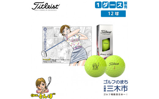 タイトリスト PRO V1X イエロー ゴルフボール ２ダースセット www