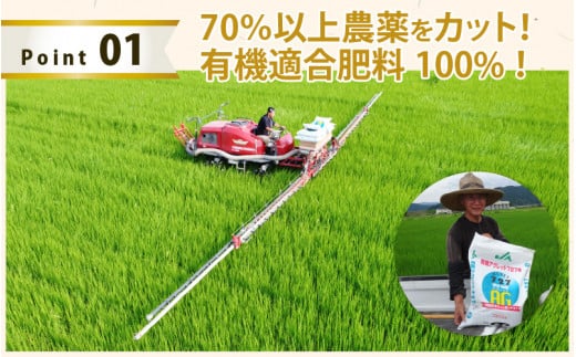 新米令和産 ふくい東郷米 特別栽培米 減農薬 コシヒカリ
